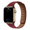 Vistel Slim Leather Link Band