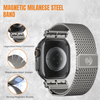 Beatus Magnetic Milanese Steel Band - Astra Straps